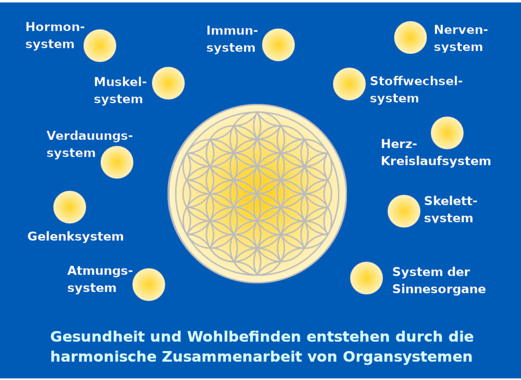 ein Kreis mit einem harmonischen Blumenmuster in der Mitte. Rundherum sind alle wichtigen Organsysteme des menschlichen Körpers angeordnet
